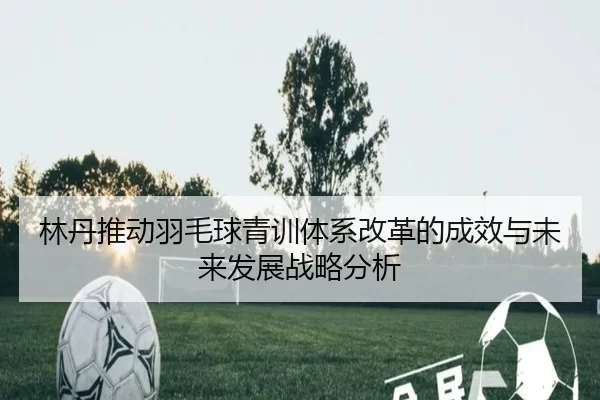 林丹推动羽毛球青训体系改革的成效与未来发展战略分析